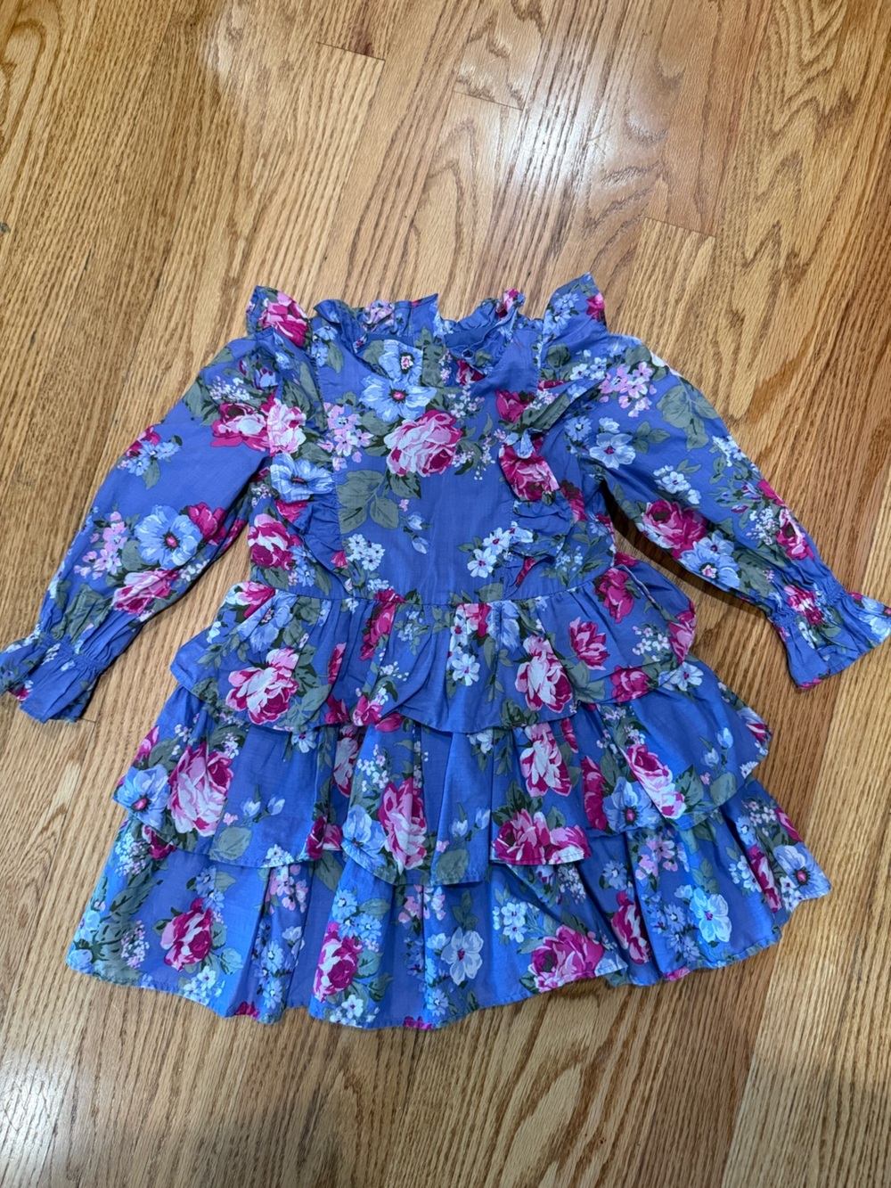 Janie and Jack Blue Floral Ruffle Dress size 2T